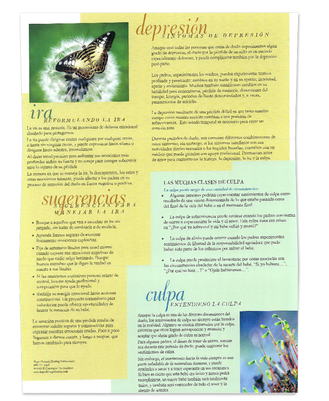 Baby Loss | 6 Months after