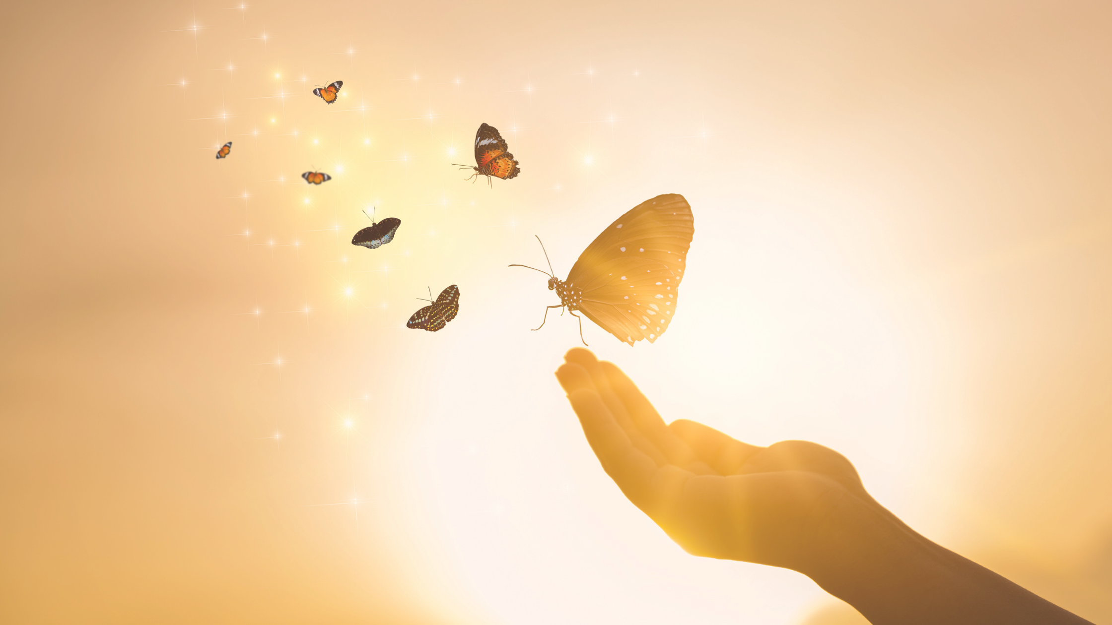 Supporting Grieving Parents, One Book at a Time