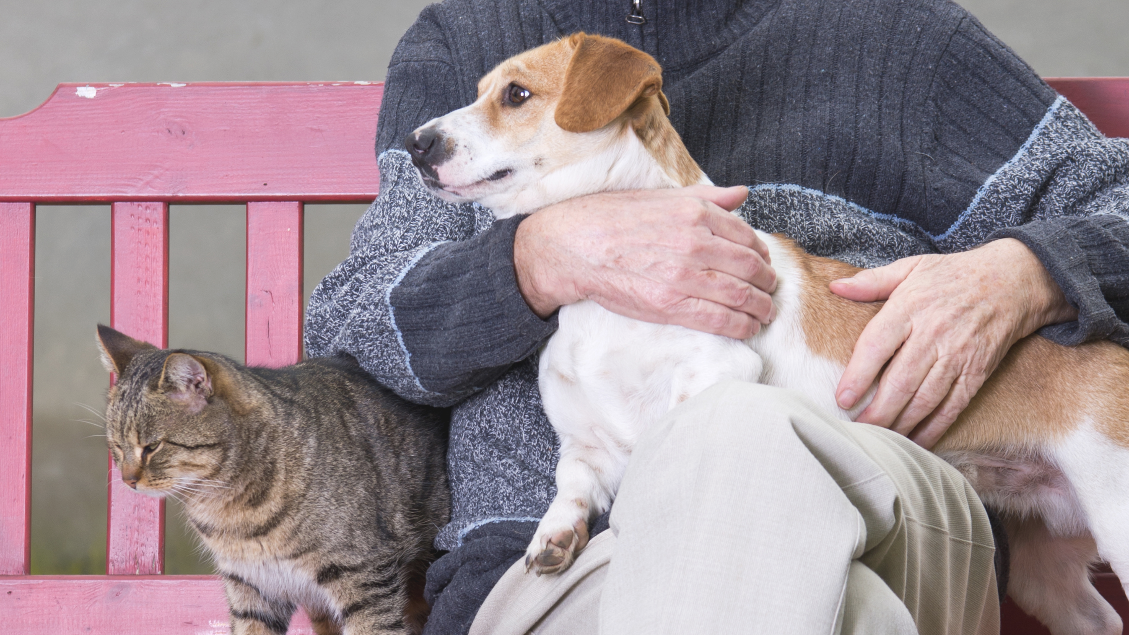 Pet Peace of Mind Helps Seriously Ill People Care for Their Pets