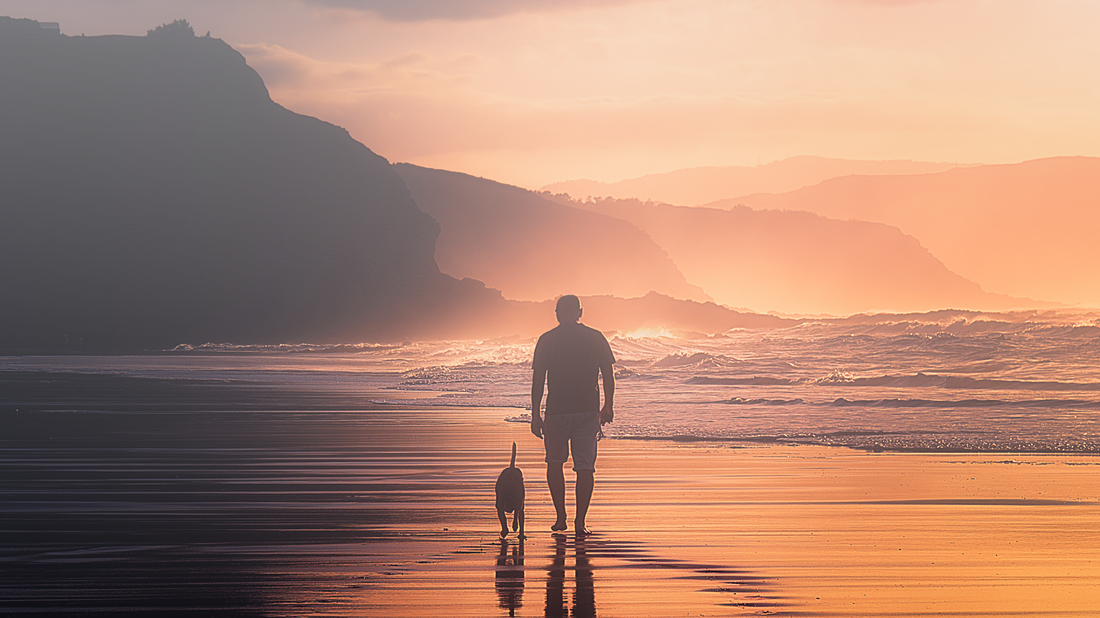 Chapters: Coping With the Loss of a Pet