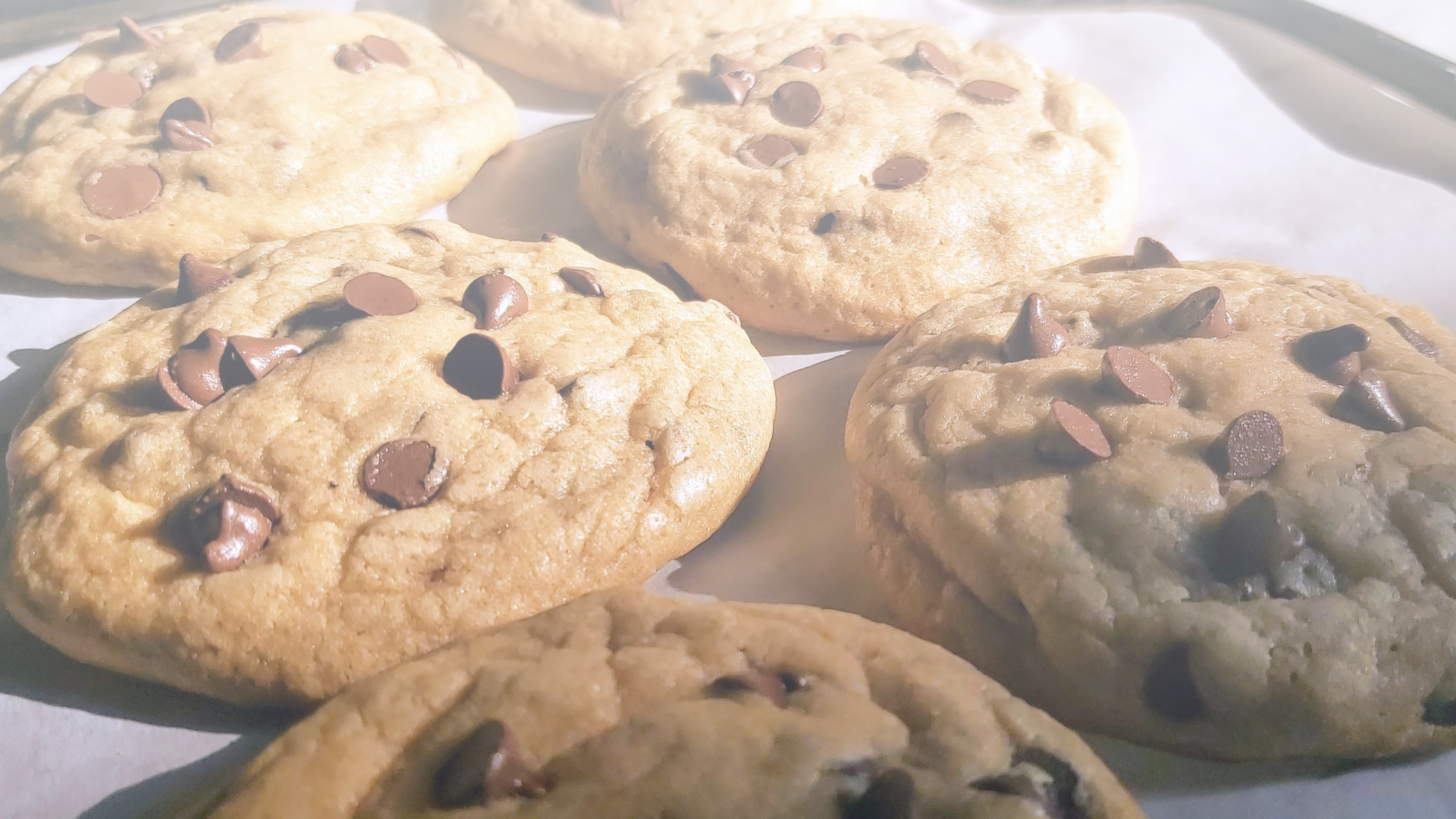 Grief to Growth: Navigating Loss & Purpose