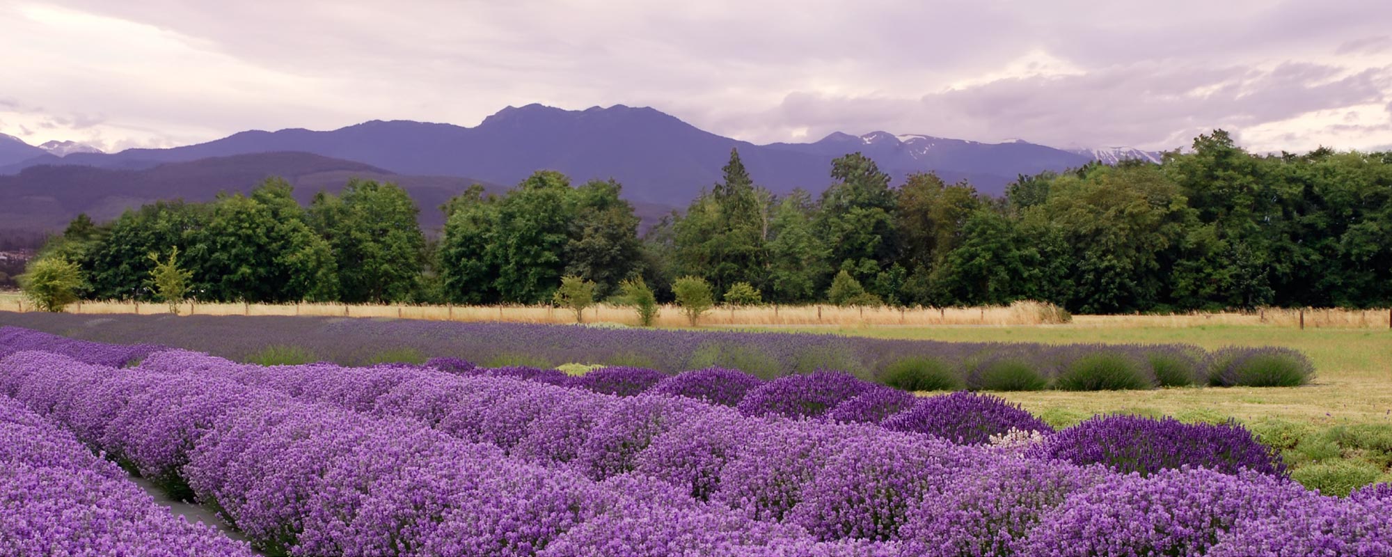 Let’s Build a Community Together…